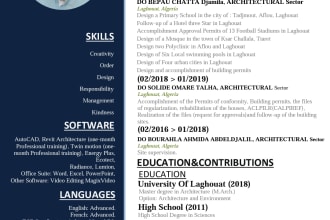 design, write or edit professional resume or CV template