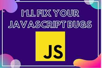 fix any javascript bug and error