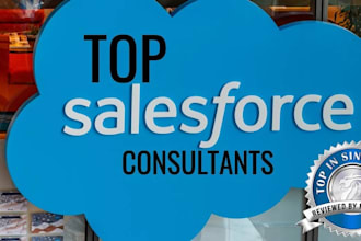 salesforce admin and consultant