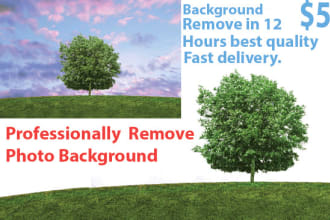 remove or change any background from images ,transparent, white professionally
