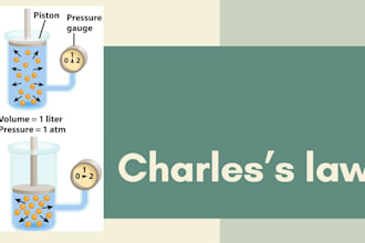 create the interested infographic