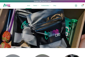 do wordpress responsive website