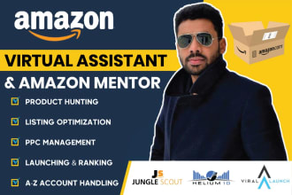 be your amazon mentor, consultant, virtual assistant, fba consultant
