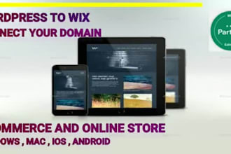 create an eye caching stunt wix website