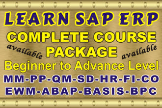 provide sap erp all modules training course beginner to advance level