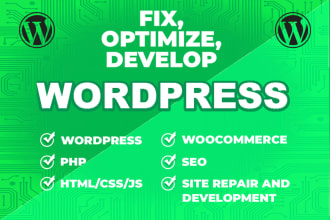 diagnose, repair and optimize your wordpress or PHP website