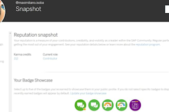 sap sd support and guidance