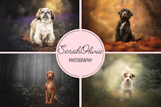 edit your pet photos