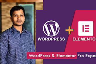 develop an amazing elementor wordpress website