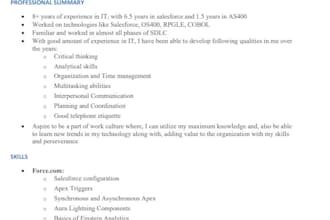 develop or resolve any salesforce related requirements or issues
