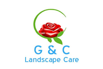 create my master piece logo  in 1 day