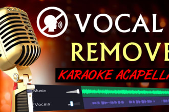 remove vocals from a song and make a karaoke track
