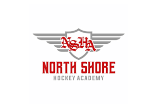 design hockey academy logo in 1 day