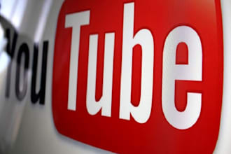 do youtube promotion of a video with a niche relevant audience