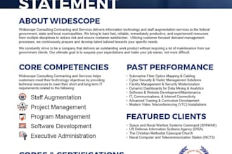 write and design your capability statement, or do capability statement design
