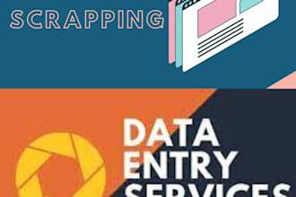 data entry and copy paste work