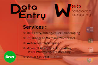 do data entry web research copy paste all of typing