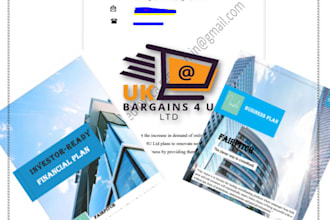 prepare a professional business plan