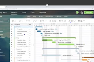 have your project management tasks done