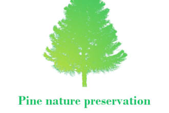 do logo design and art