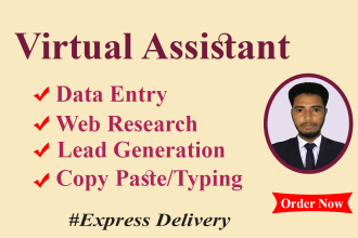 be virtual assistant for data entry, web research and lead generation task