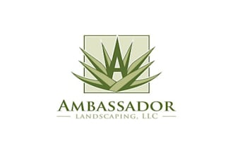 create a modern logo in 1  day