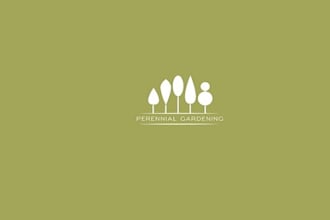 create a simple yet stylish logo in 1 day