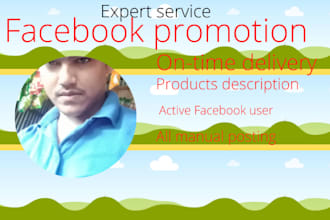 do facebook promotion in USA
