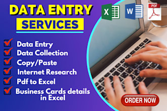 be a VA for data entry, typing work, and web research
