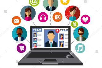 provide you IT services and website development
