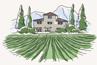 create line art illustrations of landscapes artistically