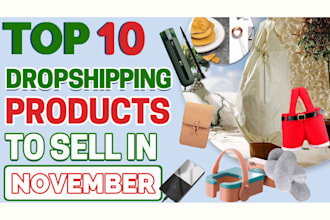 provide the 10 best products to sell in dropshipping in november 2021