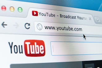 do super fast youtube promotion of a video to niche related people