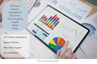 do ms data entry, google spread sheet, and conversion to PDF