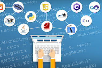 write custom script with nodejs or python