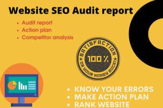 provide you with a detailed and professional SEO audit report of your website