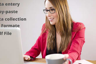 optimize data entry,  copy paste, excel  work