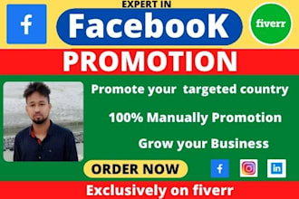 do facebook promotion for your business in USA