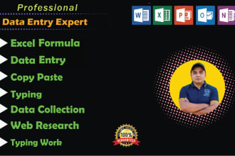 be your expert excel data entry virtual assistant