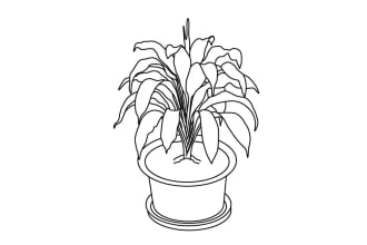 draw botanical and flower one line art illustration