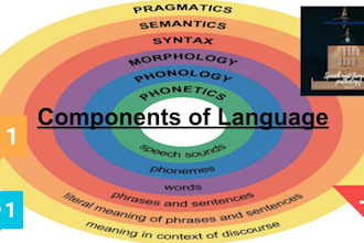 help you in english morphology