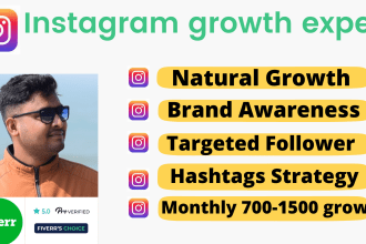 be grow instagram marketing and targeted audience