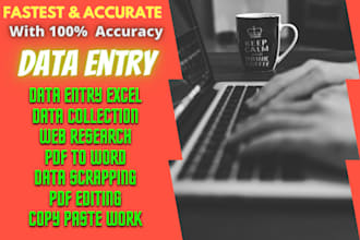 do accurate and fastest data entry, create excel spreadsheet