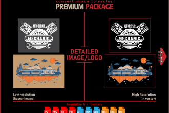 convert your image into high resolution vector