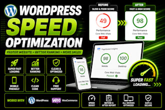 do wordpress speed optimization