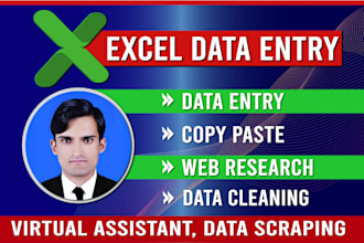 be your virtual assistant for data entry, data cleaning, and copy paste