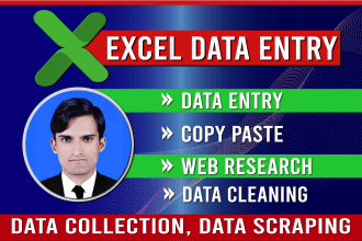 do accurate data entry, excel data cleaning, web research, and copy paste