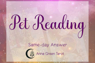 do tarot pet reading
