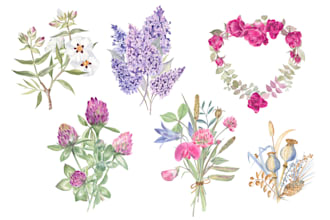 draw watercolor flowers and plants