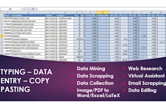 do world class data entry and copy paste job for you